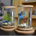 Mała szklana akwarium bambusowa mini akwaria